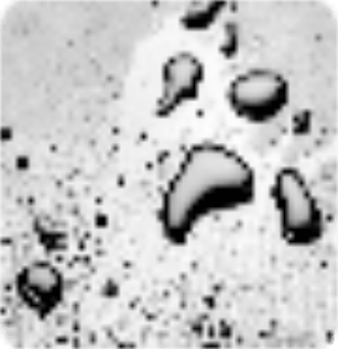 Solucoes tecnicas | Anti mofo